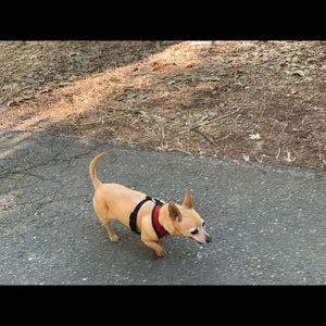 Meet your Posher, Molly